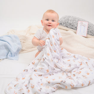  Introducing Little Wren by Wrendale Designs