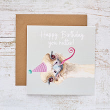  Happy Birthday You Nutter - Funny Blank Birthday Card