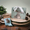 Hedgehugs, a warm pair of pale blue, high quality bamboo socks for women. Designed by Hannah Dale, each sock has a beautiful illustration of a hedgehog stiched into the soft fabric. A perfect gift for animal lovers. Sock size 4 to 7. Wrendale Designs.