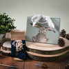 Hopeful, soft, high quality bamboo socks for women. Featuring a beautiful illustration by Hannah Dale of an adorable labrador on a pair on black socks. A perfect gift for animal lovers. Sock size 4 to 7. Wrendale Designs.