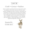 Jack the donkey, a soft, adorable plush toy designed by Hannah Dale. Jack is a gentle soul, who likes camping and rocks. Wrendale Designs