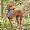 Wrendale Designs - Dog Bandana - M/L