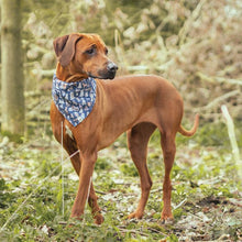  Wrendale Designs - Dog Bandana - M/L