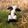 Mathilda the black and white holstein cow is a soft, cuddely, perfect for all ages, junior sized plushie. Designed by Hannah Dale, Wrendale Designs.