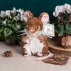 Wrendale Designs - Plush Mouse - Oliver