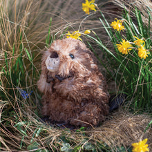  Wrendale Designs - Plush Beaver - Chester