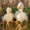 Pearl the goose, an adorable, stuffed toy perfect for all ages junior plush by Hannah Dale. A gift for small children. Wrendale Designs.