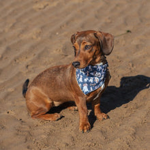  Wrendale Designs - Dog Bandana - XS/S