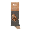 The arborist, a warm pair of high quality, grey bamboo socks for men. Featuring a gorgeous design by Hannah Dale, of an adorable beaver, stitched into the soft fabric. A perfect gift for animal lovers. Wrendale Designs.