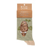 Treetops, Elvis the owl, high quality, bamboo socks designed by Hannah Dale. Featuring a beautiful illustration of Elvis the owl on a spotty, sage green backround. A perfect gift for animal lovers.Wrendale Designs.