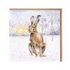 Wrendale Designs Christmas Card - Wild Hare in the Snow