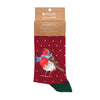 Wrendale Designs - Red Robin Bamboo Christmas Socks for the Family - Children Sizes 9-12
