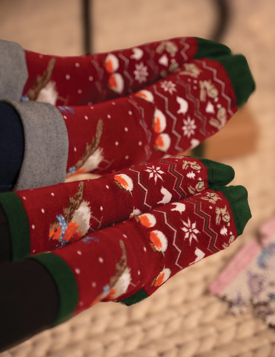 Wrendale Designs - Red Robin Bamboo Christmas Socks for the Family - Children Sizes 9-12