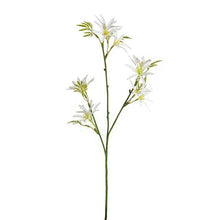  Artificial Flowers, Cream Dolly Tweedia Spray, 46cm