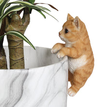  NEW Ginger Kitty Plant Pot Hanger, 15cm