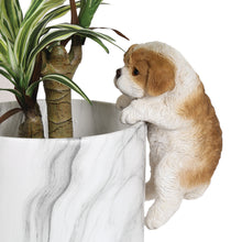  NEW Brown & White Dog Plant Pot Hanger, 20cm