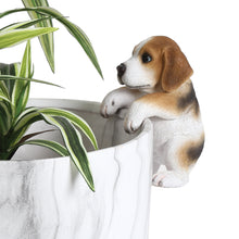  Brown, White & Black Dog Plant Pot Hanger, 14.5cm
