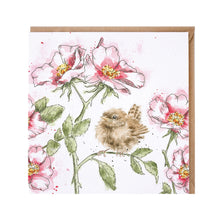  Gifts for women UK, Funny Greeting Cards, Wrendale Designs Stockist, Berni Parker Designs Gifts Greeting Cards, Engagement Wedding Anniversary Cards, Gift Shop Shrewsbury, Visit Shrewsbury Blank Greeting Card Country Garden Living Wren Wildflowers