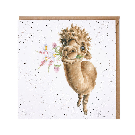 Gifts for women UK, Funny Greeting Cards, Wrendale Designs Stockist, Berni Parker Designs Gifts Greeting Cards, Engagement Wedding Anniversary Cards, Gift Shop Shrewsbury, Visit Shrewsbury Blank Greeting Card Llama Garden Flowers Country Living Greeting Card