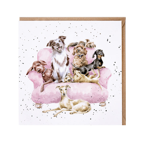Gifts for women UK, Funny Greeting Cards, Wrendale Designs Stockist, Berni Parker Designs Gifts Greeting Cards, Engagement Wedding Anniversary Cards, Gift Shop Shrewsbury, Visit Shrewsbury Blank Greeting Card Dog Lovers Dog Sitter