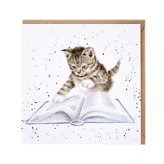 Gifts for women UK, Funny Greeting Cards, Wrendale Designs Stockist, Berni Parker Designs Gifts Greeting Cards, Engagement Wedding Anniversary Cards, Gift Shop Shrewsbury, Visit Shrewsbury Blank Greeting Card Kitten Reading Cat Lovers