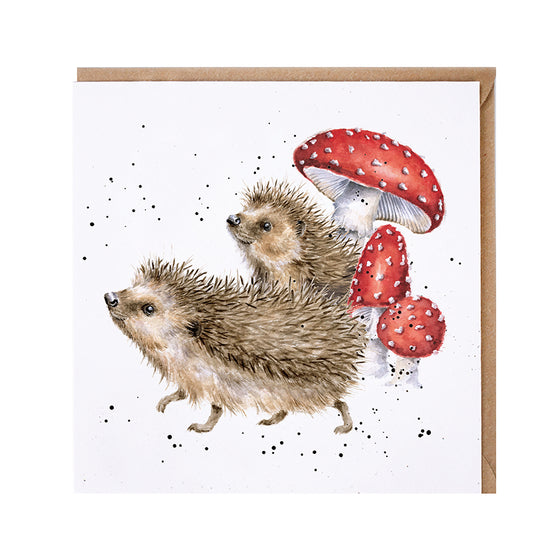 Gifts for women UK, Funny Greeting Cards, Wrendale Designs Stockist, Berni Parker Designs Gifts Greeting Cards, Engagement Wedding Anniversary Cards, Gift Shop Shrewsbury, Visit Shrewsbury Blank Greeting Card Country Living Hedgehogs Toadstools