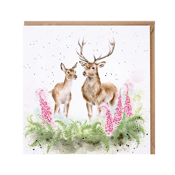 Gifts for women UK, Funny Greeting Cards, Wrendale Designs Stockist, Berni Parker Designs Gifts Greeting Cards, Engagement Wedding Anniversary Cards, Gift Shop Shrewsbury, Visit Shrewsbury Blank Greeting Card Country Living Wild Stags 