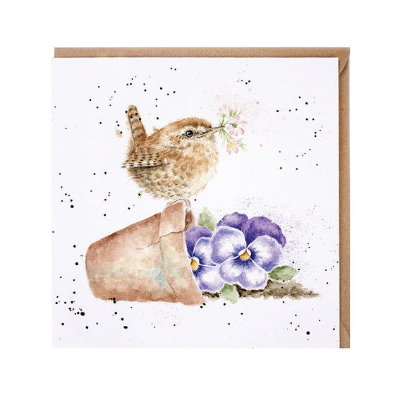 Gifts for women UK, Funny Greeting Cards, Wrendale Designs Stockist, Berni Parker Designs Gifts Greeting Cards, Engagement Wedding Anniversary Cards, Gift Shop Shrewsbury, Visit Shrewsbury Blank Greeting Card Flower Pot Wren Garden Lover Country Living Greeting Card