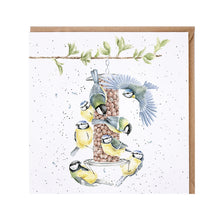  Gifts for women UK, Funny Greeting Cards, Wrendale Designs Stockist, Berni Parker Designs Gifts Greeting Cards, Engagement Wedding Anniversary Cards, Gift Shop Shrewsbury, Visit Shrewsbury Blank Greeting Card Blue Tits Feeding