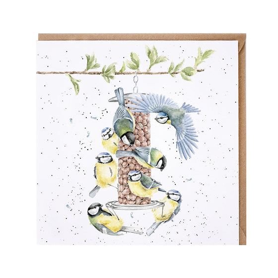 Gifts for women UK, Funny Greeting Cards, Wrendale Designs Stockist, Berni Parker Designs Gifts Greeting Cards, Engagement Wedding Anniversary Cards, Gift Shop Shrewsbury, Visit Shrewsbury Blank Greeting Card Blue Tits Feeding