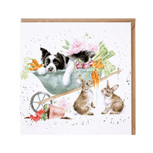  Gifts for women UK, Funny Greeting Cards, Wrendale Designs Stockist, Berni Parker Designs Gifts Greeting Cards, Engagement Wedding Anniversary Cards, Gift Shop Shrewsbury, Visit Shrewsbury Blank Greeting Card Country Living Springer Spaniel Napping Farm Life