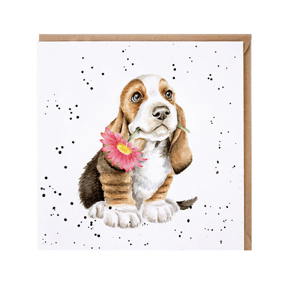 Gifts for women UK, Funny Greeting Cards, Wrendale Designs Stockist, Berni Parker Designs Gifts Greeting Cards, Engagement Wedding Anniversary Cards, Gift Shop Shrewsbury, Visit Shrewsbury Blank Greeting Card Country Living Puppy Pink Daisy Dog Lovers