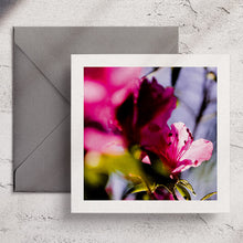  Gifts for women UK, Funny Greeting Cards, Wrendale Designs Stockist, Berni Parker Designs Gifts Greeting Cards, Engagement Wedding Anniversary Cards, Gift Shop Shrewsbury, Visit Shrewsbury Wendy Bell Designs Blank Any Occasion Greeting Cards Enchanted Garden Shropshire Countryside Photography Pink Azalea