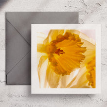  Gifts for women UK, Funny Greeting Cards, Wrendale Designs Stockist, Berni Parker Designs Gifts Greeting Cards, Engagement Wedding Anniversary Cards, Gift Shop Shrewsbury, Visit Shrewsbury Wendy Bell Designs Blank Any Occasion Greeting Cards Enchanted Garden Shropshire Countryside Photography Yellow Daffodils