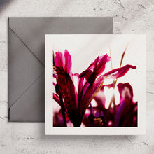  Gifts for women UK, Funny Greeting Cards, Wrendale Designs Stockist, Berni Parker Designs Gifts Greeting Cards, Engagement Wedding Anniversary Cards, Gift Shop Shrewsbury, Visit Shrewsbury Wendy Bell Designs Blank Any Occasion Greeting Cards Enchanted Garden Shropshire Countryside Photography Deep Purple Iris Sunset Shadows