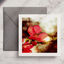  Gifts for women UK, Funny Greeting Cards, Wrendale Designs Stockist, Berni Parker Designs Gifts Greeting Cards, Engagement Wedding Anniversary Cards, Gift Shop Shrewsbury, Visit Shrewsbury Wendy Bell Designs Blank Any Occasion Greeting Cards Enchanted Garden Shropshire Countryside Photography Red Blossoms Morning Sun 