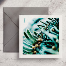  Gifts for women UK, Funny Greeting Cards, Wrendale Designs Stockist, Berni Parker Designs Gifts Greeting Cards, Engagement Wedding Anniversary Cards, Gift Shop Shrewsbury, Visit Shrewsbury Wendy Bell Designs Blank Any Occasion Greeting Cards Enchanted Garden Shropshire Countryside Photography Frosty Pines