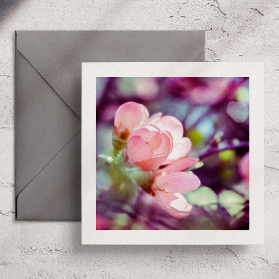 Gifts for women UK, Funny Greeting Cards, Wrendale Designs Stockist, Berni Parker Designs Gifts Greeting Cards, Engagement Wedding Anniversary Cards, Gift Shop Shrewsbury, Visit Shrewsbury Wendy Bell Designs Blank Any Occasion Greeting Cards Enchanted Garden Shropshire Countryside Photography Peach Blossoms