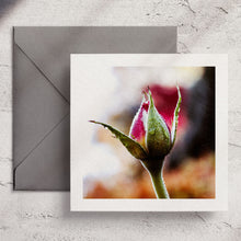  Gifts for women UK, Funny Greeting Cards, Wrendale Designs Stockist, Berni Parker Designs Gifts Greeting Cards, Engagement Wedding Anniversary Cards, Gift Shop Shrewsbury, Visit Shrewsbury Wendy Bell Designs Blank Any Occasion Greeting Cards Enchanted Garden Shropshire Countryside Photography Rosebud Dewdrops Romantic Rose
