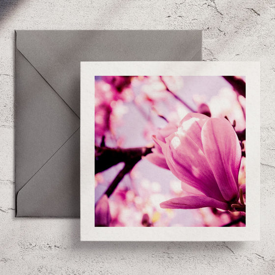 Gifts for women UK, Funny Greeting Cards, Wrendale Designs Stockist, Berni Parker Designs Gifts Greeting Cards, Engagement Wedding Anniversary Cards, Gift Shop Shrewsbury, Visit Shrewsbury Wendy Bell Designs Blank Any Occasion Greeting Cards Enchanted Garden Shropshire Countryside Photography Purple Magnolia Blossom