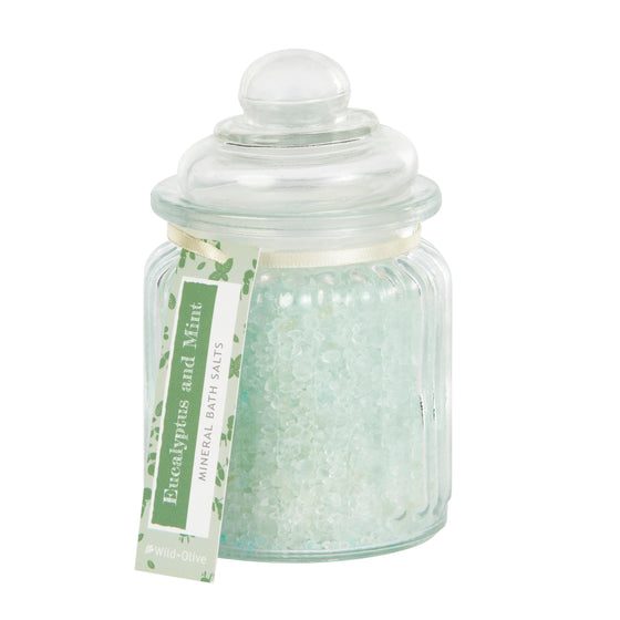 Eucalyptus and Mint Scented All Natural Bath Salts in a Jar
