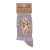 Hopeful, a warm pair of high quality, grey bamboo socks for women. Designed by Hannah Dale, thse socks feature a gorgeous illustration of a golden labrador stitched into the soft fabric. A perfect gift for animal lovers. Sock size 4 to 7. Wrendale Designs.