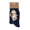 Hopeful, soft, high quality bamboo socks for women. Featuring a beautiful illustration by Hannah Dale of an adorable labrador on a pair on black socks. A perfect gift for animal lovers. Sock size 4 to 7. Wrendale Designs.
