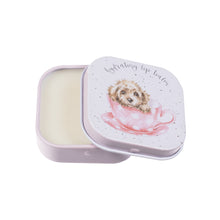  Gifts for women UK, Funny Greeting Cards, Wrendale Designs Stockist, Berni Parker Designs Gifts Greeting Cards, Engagement Wedding Anniversary Cards, Gift Shop Shrewsbury, Visit Shrewsbury Wrendale Designs Women's Lip Balm Square Tin Teacup Puppy 1