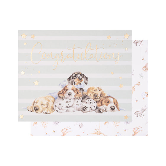 Wrendale Designs - Congratulations - Blank New Baby Card