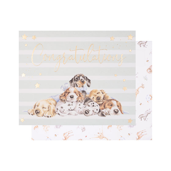 NEW Wrendale Designs - Congratulations - Blank New Baby Card