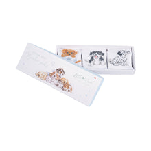  Gifts for women UK, Funny Greeting Cards, Wrendale Designs Stockist, Berni Parker Designs Gifts Greeting Cards, Engagement Wedding Anniversary Cards, Gift Shop Shrewsbury, Visit Shrewsbury Wrendale Designs Little Wren Collection Set of 3 Baby Socks Puppies 6-12 mos 1