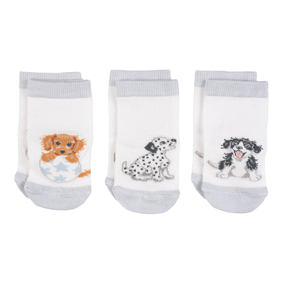 Gifts for women UK, Funny Greeting Cards, Wrendale Designs Stockist, Berni Parker Designs Gifts Greeting Cards, Engagement Wedding Anniversary Cards, Gift Shop Shrewsbury, Visit Shrewsbury Wrendale Designs Little Wren Collection Set of 3 Baby Socks Puppies 6-12 mos 2