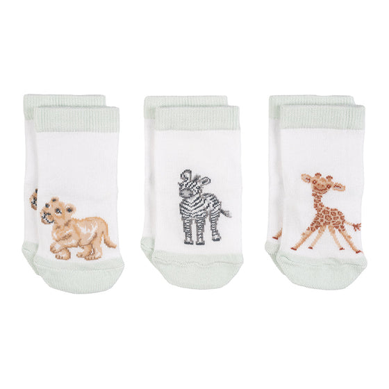 Gifts for women UK, Funny Greeting Cards, Wrendale Designs Stockist, Berni Parker Designs Gifts Greeting Cards, Engagement Wedding Anniversary Cards, Gift Shop Shrewsbury, Visit Shrewsbury Wrendale Designs Little Wren Collection Set of 3 Baby Socks Lion Giraffe Zebra 6-12 mos 2