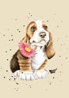 Gifts for women UK, Funny Greeting Cards, Wrendale Designs Stockist, Berni Parker Designs Gifts Greeting Cards, Engagement Wedding Anniversary Cards, Gift Shop Shrewsbury, Visit Shrewsbury Wrendale Designs A6 Notebook Basset Hound Poppy 2